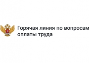 горячая линия по вопросам оплаты труда