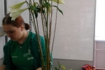 увеличить