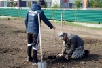 увеличить Перед самыми праздниками появились еще две аллеи памяти в Поспелихинском районе.