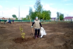 увеличить Перед самыми праздниками появились еще две аллеи памяти в Поспелихинском районе.