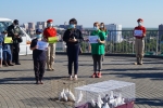 увеличить Акция «Голубь Победы»
