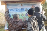 увеличить Размещение баннера
