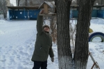 увеличить Птичья столовая ждёт гостей