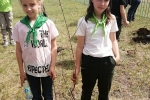 увеличить Саженцы в память о героях