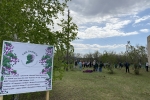 увеличить Участие в Акции «Сад Памяти»