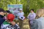 увеличить Определи птицу по силуэту