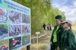 увеличить У информационного стенда