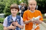 увеличить