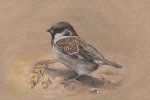 увеличить Чертова Виктория, 15 лет