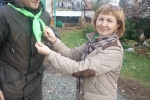 увеличить