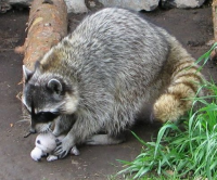 &nbsp;