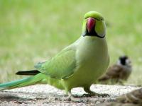 &nbsp;